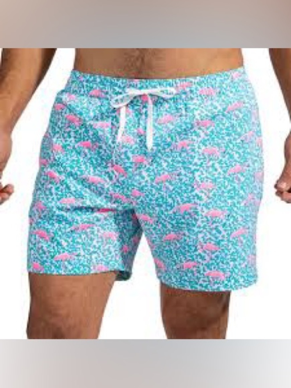 Chubbies Men’s 5.5inch Swim Trunks Lined